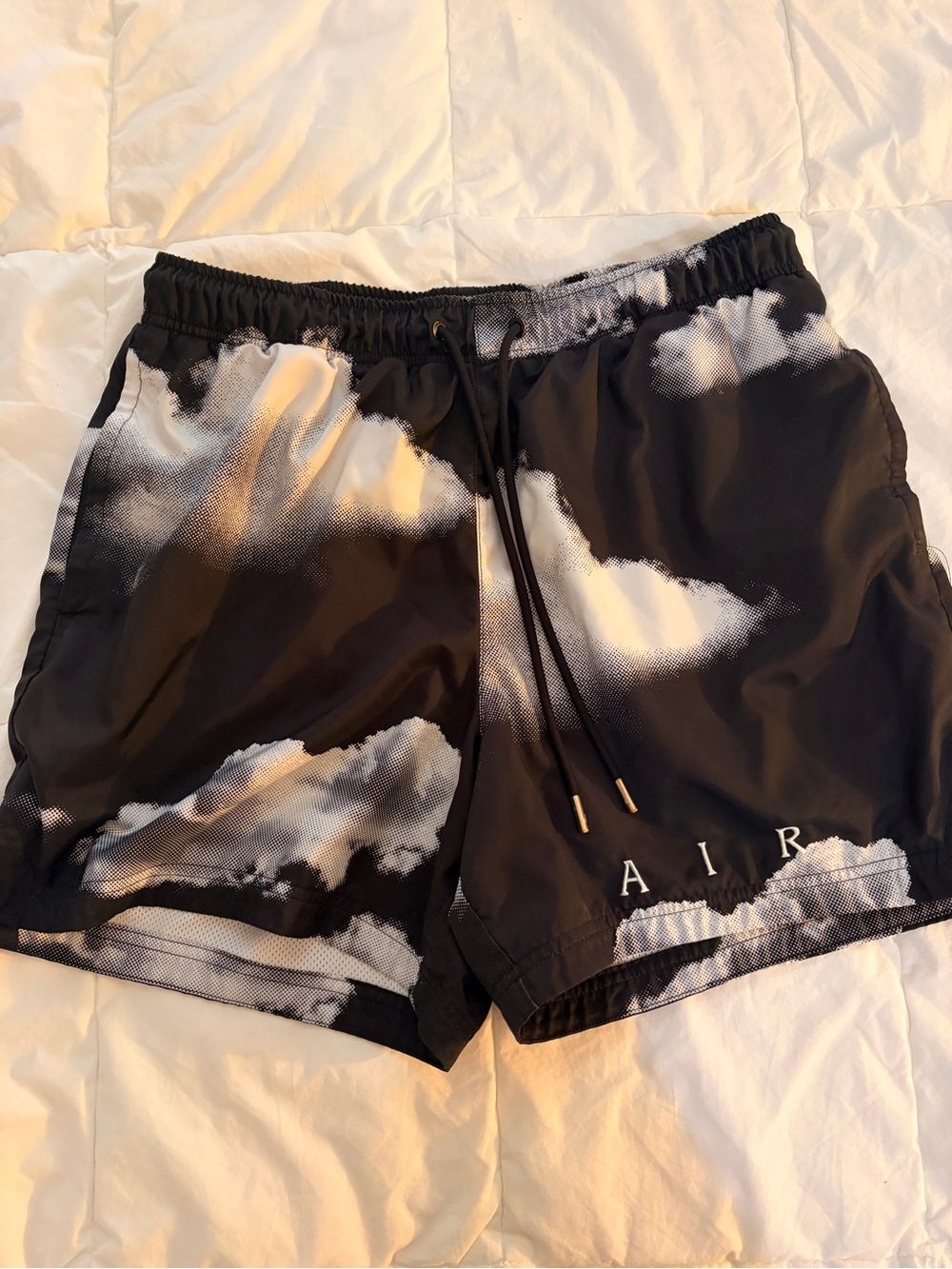 Air Jordan Men’s Shorts/Swim